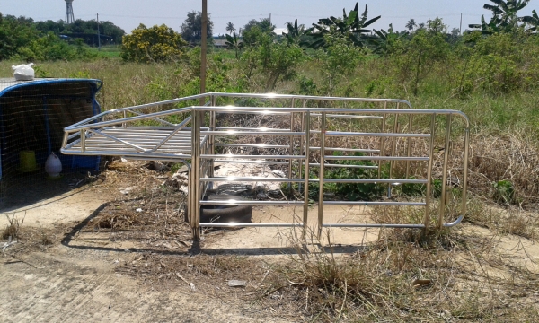 คอกสแตนเลส ไมตี้แคบ หน้ายื่น คอกสูง