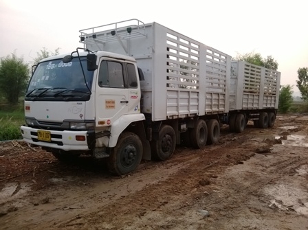 ขายดาวน์หางพ่วงสามเพลามิตร