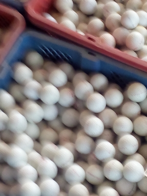 ลูกกอล์ฟมือสอง สภาพดีสวย มีจำนวนมาก ขายในราคาถูกเหมือนได้ฟรี