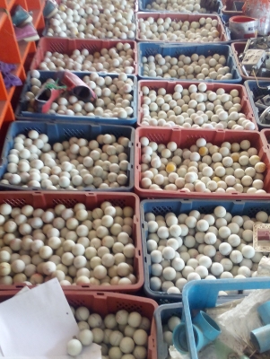 ลูกกอล์ฟมือสอง สภาพดีสวย มีจำนวนมาก ขายในราคาถูกเหมือนได้ฟรี