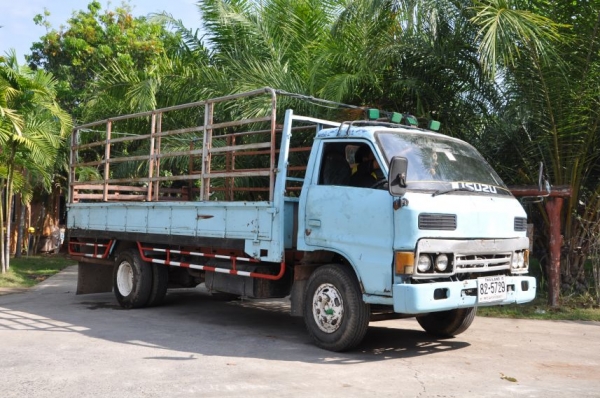 ขายISUZU KS32 สภาพดี 6ล้อ เครื่อง110แรง ทะเบียนพร้อมโอน