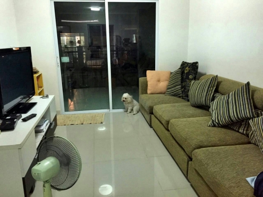 ขายทาวน์เฮ้าส์ พฤกษาวิลล์50/1 (ซ.มิสทีน)