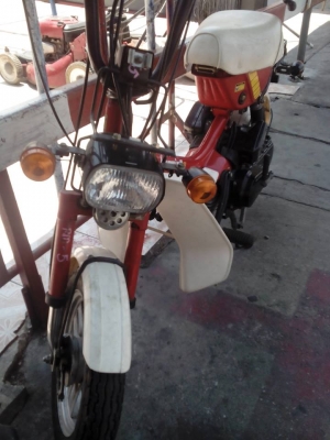 ขายรถป๊อบ HONDA  เก่าญี่ปุ่น 50 CC