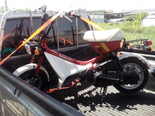 ขายรถป๊อบ HONDA เก่าญี่ปุ่น 50 CC ขายรถป๊อบ HONDA เก่าญี่ปุ่น 50 CC