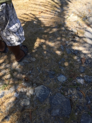 6 ล้อดั้ม 175 แรง ISUZU NQR75LY52E-100933 รถห้างแท้ สวยมากๆจอดไม่ค่อยใช้งาน สวยเดิมๆจากห้าง