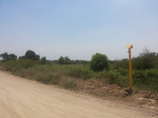 ขายด่วนที่ดิน 75 ไร่ น่าทำโรงงาน คลังสินค้า ขายด่วนที่ดิน 75 ไร่ น่าทำโรงงาน คลังสินค้า