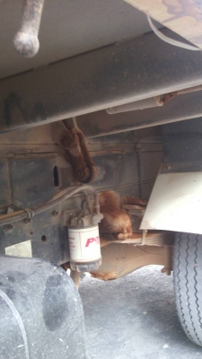 รถฮีโน่  6  ล้อดั้ม 150  แรงม้า.  ปี 50  ( รถวิ่ง 1xx,xxx กว่า กม. )   สนใจติดต่อ 081 - 6079515