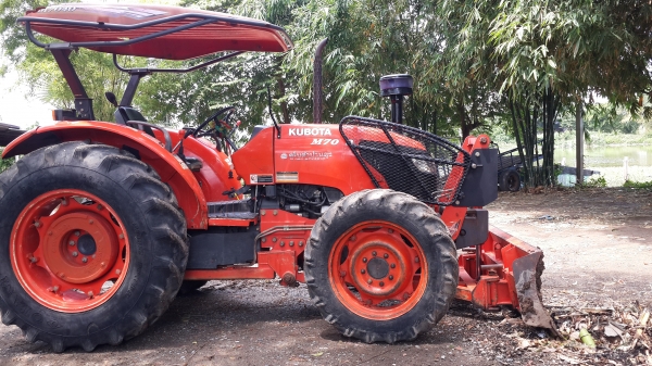 ขาย คัสท้าย   4550