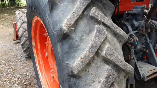 ขาย คัสท้าย   4550