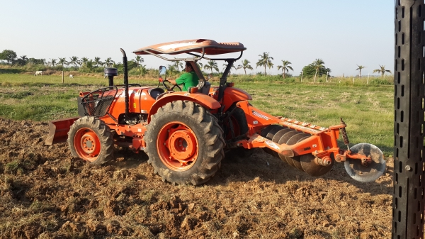 ขาย คัสท้าย   4550