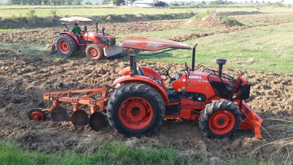 ขาย คัสท้าย   4550