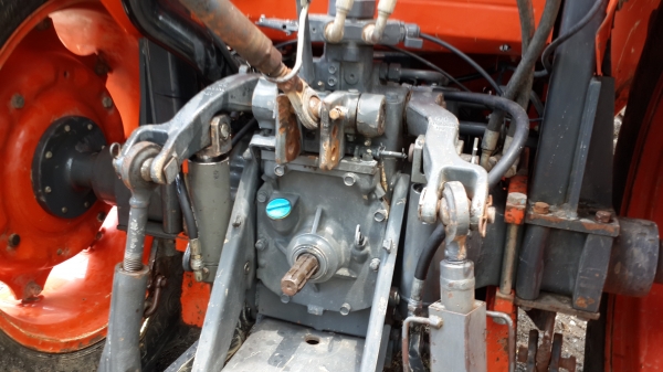 ขาย คัสท้าย   4550