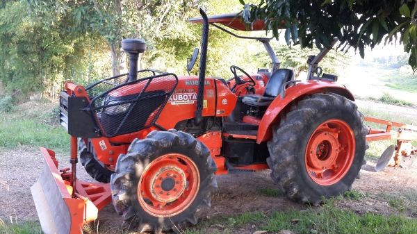 ขาย คัสท้าย   4550