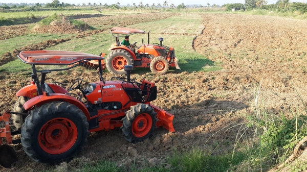 ขาย คัสท้าย   4550