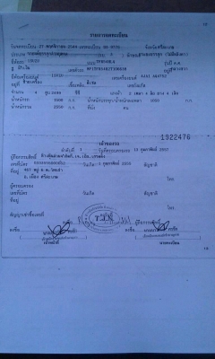 ขายรถกระบะตอนเดียว2001ปี44 ISUZU, 2.5 SPARK EX โฉม DRAGON (ปี96-02) สีน้ำเงิน เกียร์ธรรมดา