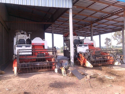 ขายรถเกี่ยวข้าวKUBOTA DC60 สภาพสวย ปี54 ช่วงล่างดี ทำงานเร็ว ใช้งานได้ทุกระบบ เล่มทะเบียนพร้อมโอน สนใจโทร 090-8588220คุณนะ 093-3258446คุณบิว ID:narong498 หรือ www.truck.in.th/498 หรือเพจFacebook ณรงค์ ซื้อขายรถมือสอง (เว็บไซต์ส่วนตัว) ขายรถเกี่ยวข้าวKUBOTA DC60 สภาพสวย ปี54 ช่วงล่างดี ทำงานเร็ว ใช้งานได้ทุกระบบ เล่มทะเบียนพร้อมโอน สนใจโทร 090-8588220คุณนะ 093-3258446คุณบิว ID:narong498 หรือ www.truck.in.th/498 หรือเพจFacebook ณรงค์ ซื้อขายรถมือสอง (เว็บไซต์ส่วนตัว)