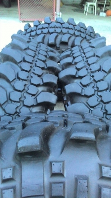 ขายตะขาบ 35R16