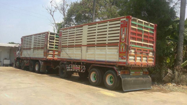 รถสิบล้อ Isuzu DECA 320 คอกเกษตรดั้มเหล็ก  แม่ลูก ปี50 รถสวยพร้อมใช้งาน ราคาต่อรองได้