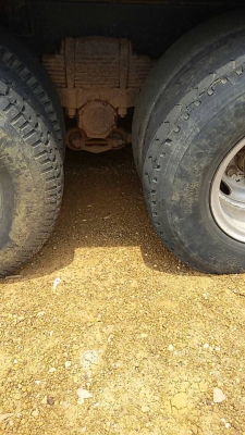 ร๊อคกี้ 210 แรง ขายเฉพาะแม่ ร๊อคกี้ 210 แรง ขายเฉพาะแม่