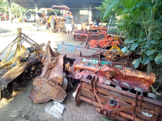 โลตารี่ 1.60-1.80ม.ราคาเริ่มต้น10000บาท รีบๆกันหน่อยนะครับตอนนี้เหลือ11ตัว