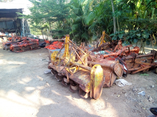 โลตารี่ 1.60-1.80ม.ราคาเริ่มต้น10000บาท รีบๆกันหน่อยนะครับตอนนี้เหลือ11ตัว