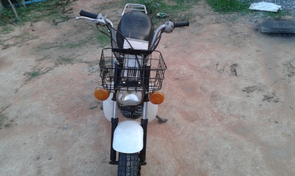 ขายชิปปี้เดิมๆตามสภาพ-5500