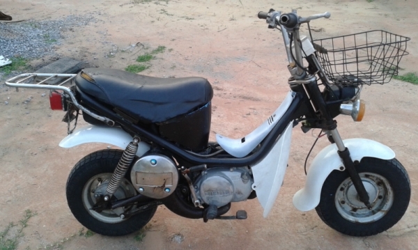 ขายชิปปี้เดิมๆตามสภาพ-5500