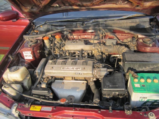 ขายCOLONA MT.94