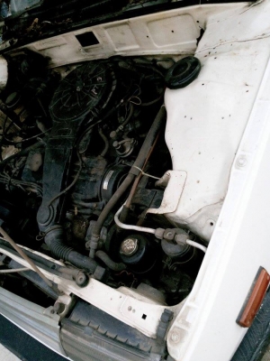 แชมป์ 3 แชมป์ 3