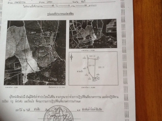 ขายที่ดินสวนยางพารา ขายที่ดินสวนยางพารา