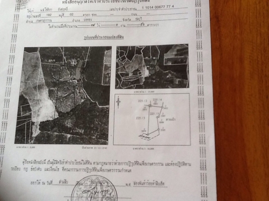 ขายที่ดินสวนยางพารา ขายที่ดินสวนยางพารา