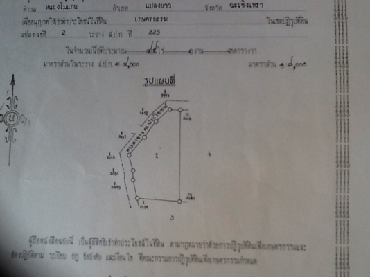 ขายที่ดินสวนยางพารา ขายที่ดินสวนยางพารา