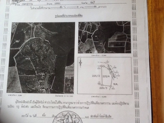 ขายที่ดินสวนยางพารา ขายที่ดินสวนยางพารา