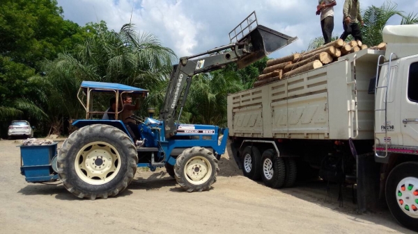 รถไถ 2 เพลา ทำเป็นรถตัก ตักใส่10ล้ิไดัสบาย แรงดี