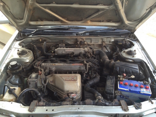 ขาย โคโรน่า ถูกๆเอาไปขับเล่นสงกรานต์ กันเปียกครับ