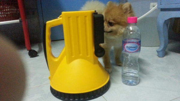 ไฟฉายรุ่นใหญ่