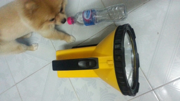 ไฟฉายรุ่นใหญ่