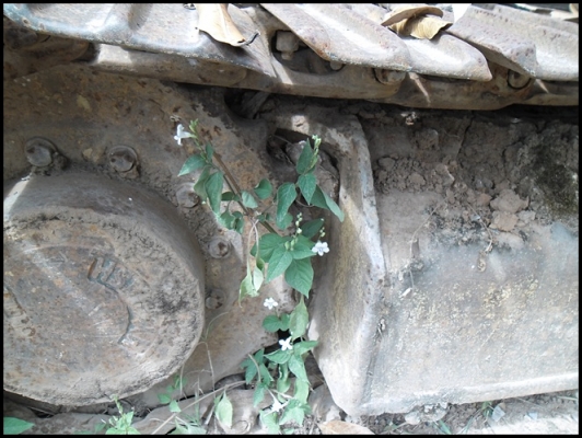 แมคโคร PC 60 รุ่น 3 สภาพสวยๆ แมคโคร PC 60 รุ่น 3 สภาพสวยๆ