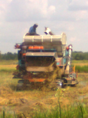 ขายด่วน รถเกี่ยวข้าวปัจจุบันยังใช้งานอยู่ ดูของจริง เกี่ยวจริงได้ที่ลพบุรี