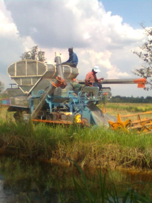 ขายด่วน รถเกี่ยวข้าวปัจจุบันยังใช้งานอยู่ ดูของจริง เกี่ยวจริงได้ที่ลพบุรี