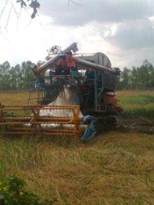 ขายด่วน รถเกี่ยวข้าวปัจจุบันยังใช้งานอยู่ ดูของจริง เกี่ยวจริงได้ที่ลพบุรี