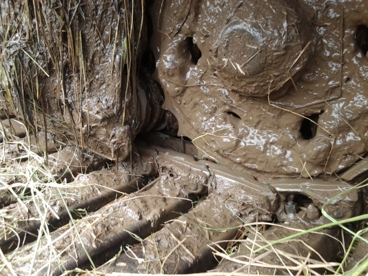 ขายด่วน รถเกี่ยวข้าวปัจจุบันยังใช้งานอยู่ ดูของจริง เกี่ยวจริงได้ที่ลพบุรี