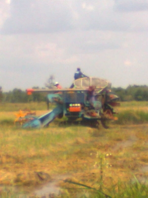 ขายด่วน รถเกี่ยวข้าวปัจจุบันยังใช้งานอยู่ ดูของจริง เกี่ยวจริงได้ที่ลพบุรี