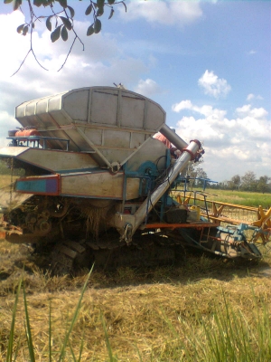 ขายด่วน รถเกี่ยวข้าวปัจจุบันยังใช้งานอยู่ ดูของจริง เกี่ยวจริงได้ที่ลพบุรี