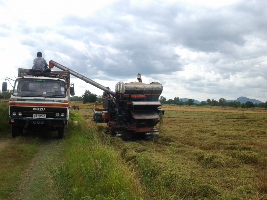 ขายด่วน รถเกี่ยวข้าวปัจจุบันยังใช้งานอยู่ ดูของจริง เกี่ยวจริงได้ที่ลพบุรี