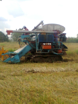 ขายด่วน รถเกี่ยวข้าวปัจจุบันยังใช้งานอยู่ ดูของจริง เกี่ยวจริงได้ที่ลพบุรี