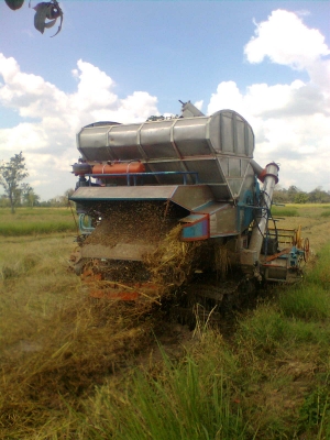 ขายด่วน รถเกี่ยวข้าวปัจจุบันยังใช้งานอยู่ ดูของจริง เกี่ยวจริงได้ที่ลพบุรี