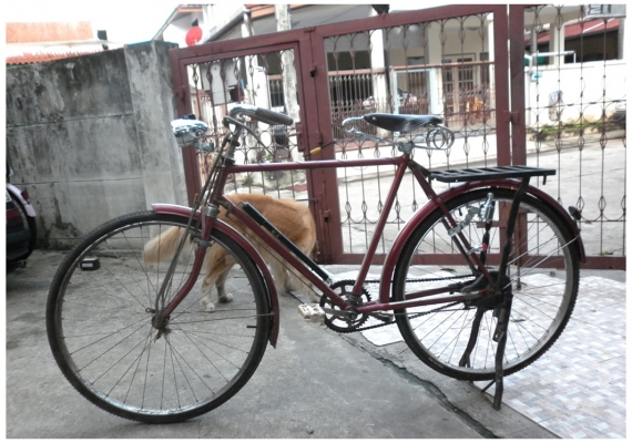 จักรยานโบราณ hercules ล้อ28