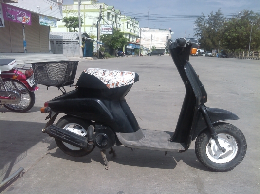 ป๊อบน้อย ป๊อบน้อย