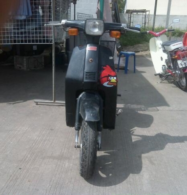 ป๊อบน้อย ป๊อบน้อย